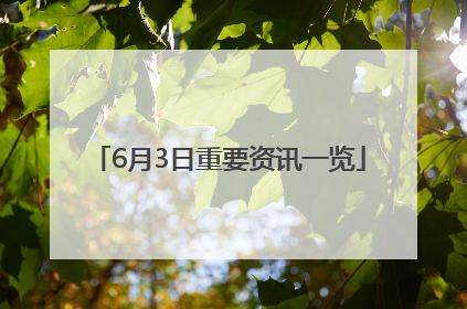 6月3日重要资讯一览