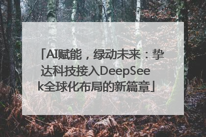 AI赋能，绿动未来：挚达科技接入DeepSeek全球化布局的新篇章