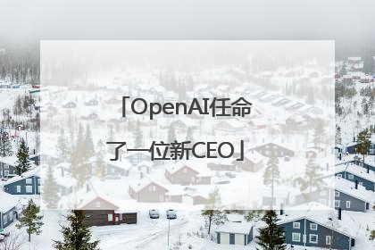 OpenAI任命了一位新CEO