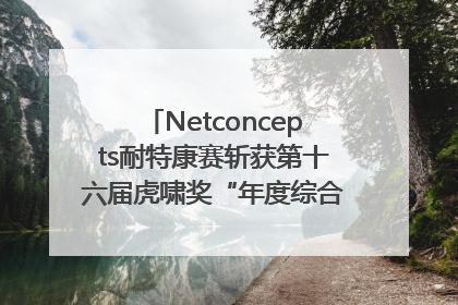 Netconcepts耐特康赛斩获第十六届虎啸奖“年度综合服务商”大奖